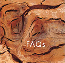 FAQs